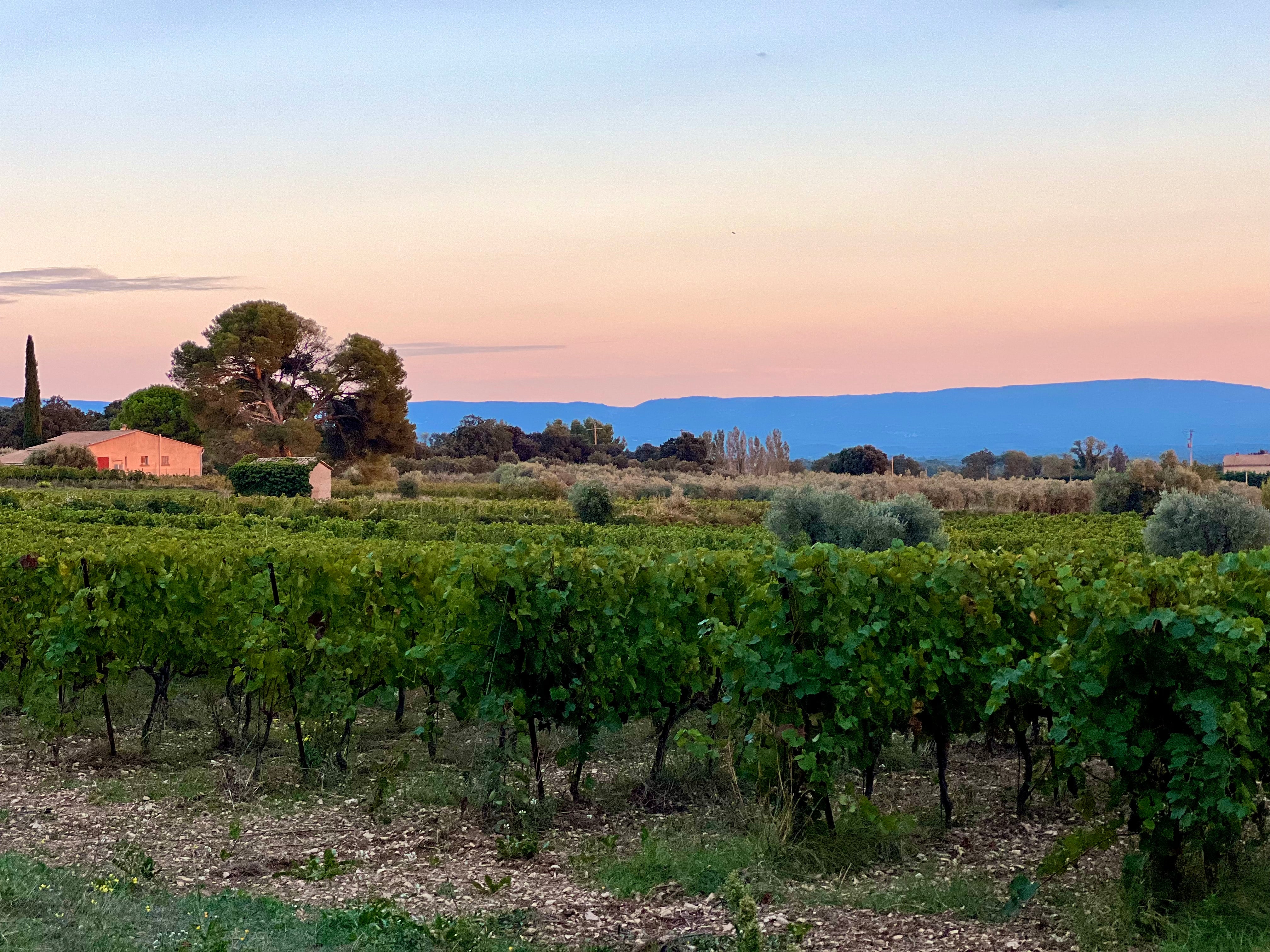 Tradiční zářijový výlet do Provence: Chateau Juvenal a Domaine de la Citadelle