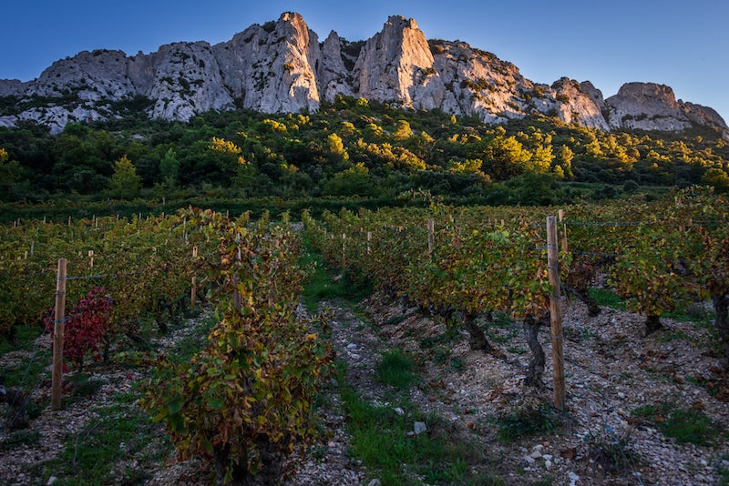VÍNO Z CÔTES DU RHÔNE