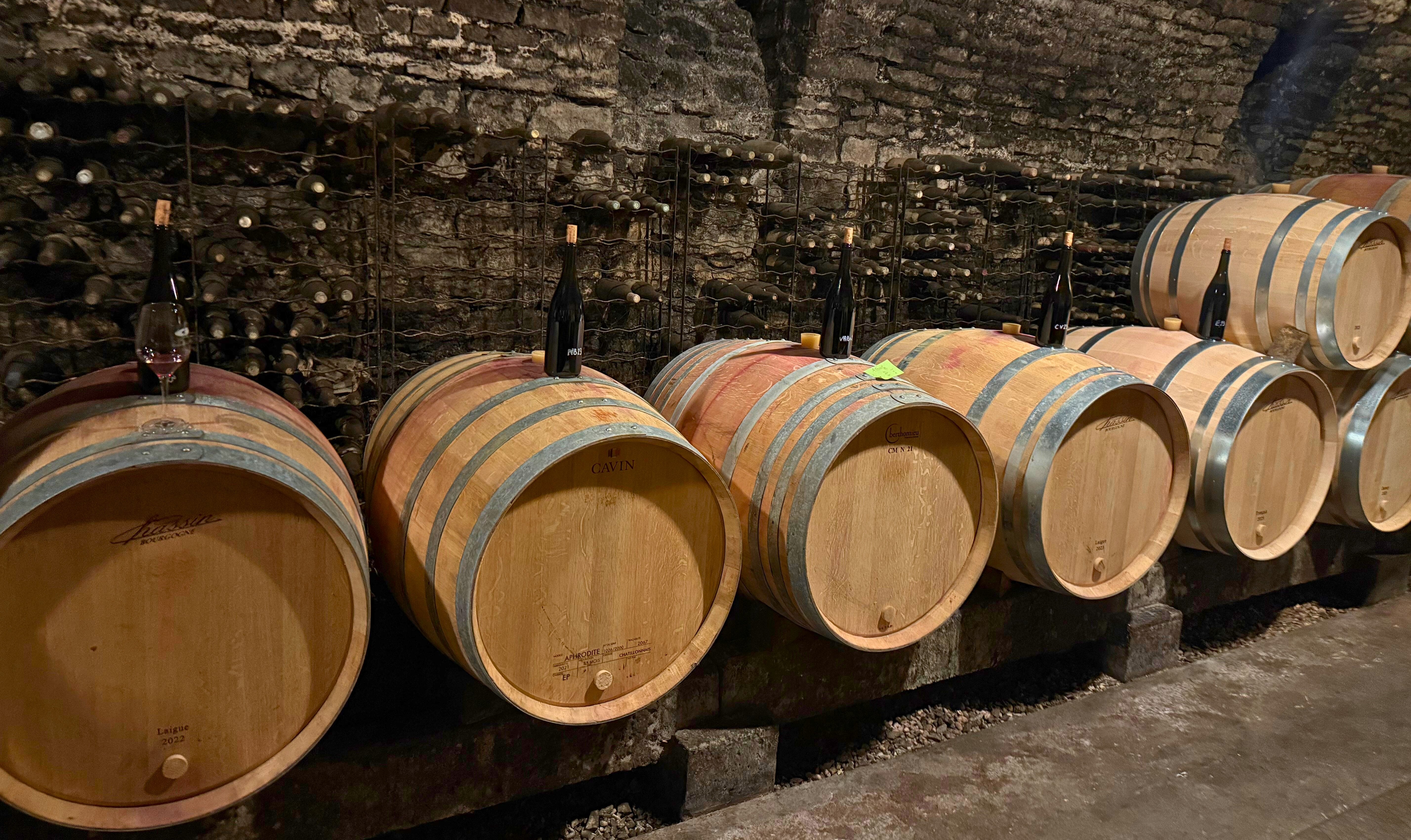 Burgundsko očima Le bouquet: vinaři, ročník 2024 a nové směry