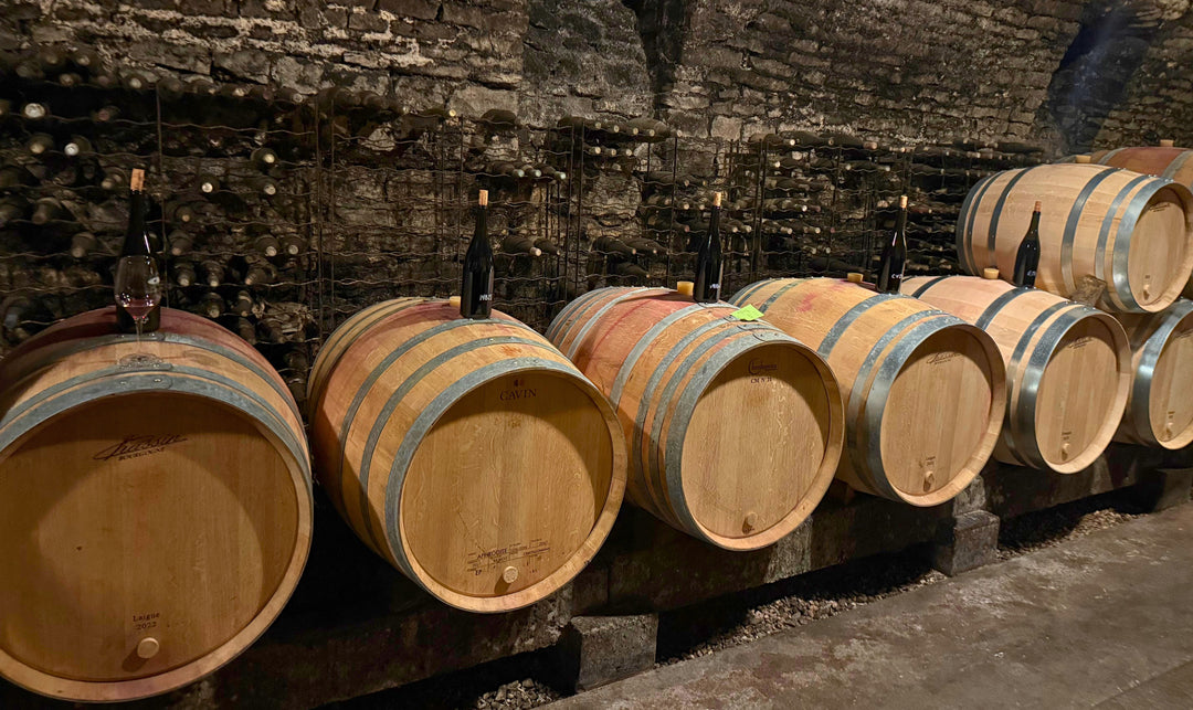 Burgundsko očima Le bouquet: vinaři, ročník 2024 a nové směry