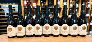 Degustace Domaine Hubert & Laurent Lignier: terroir, čas a síla základního Bourgogne