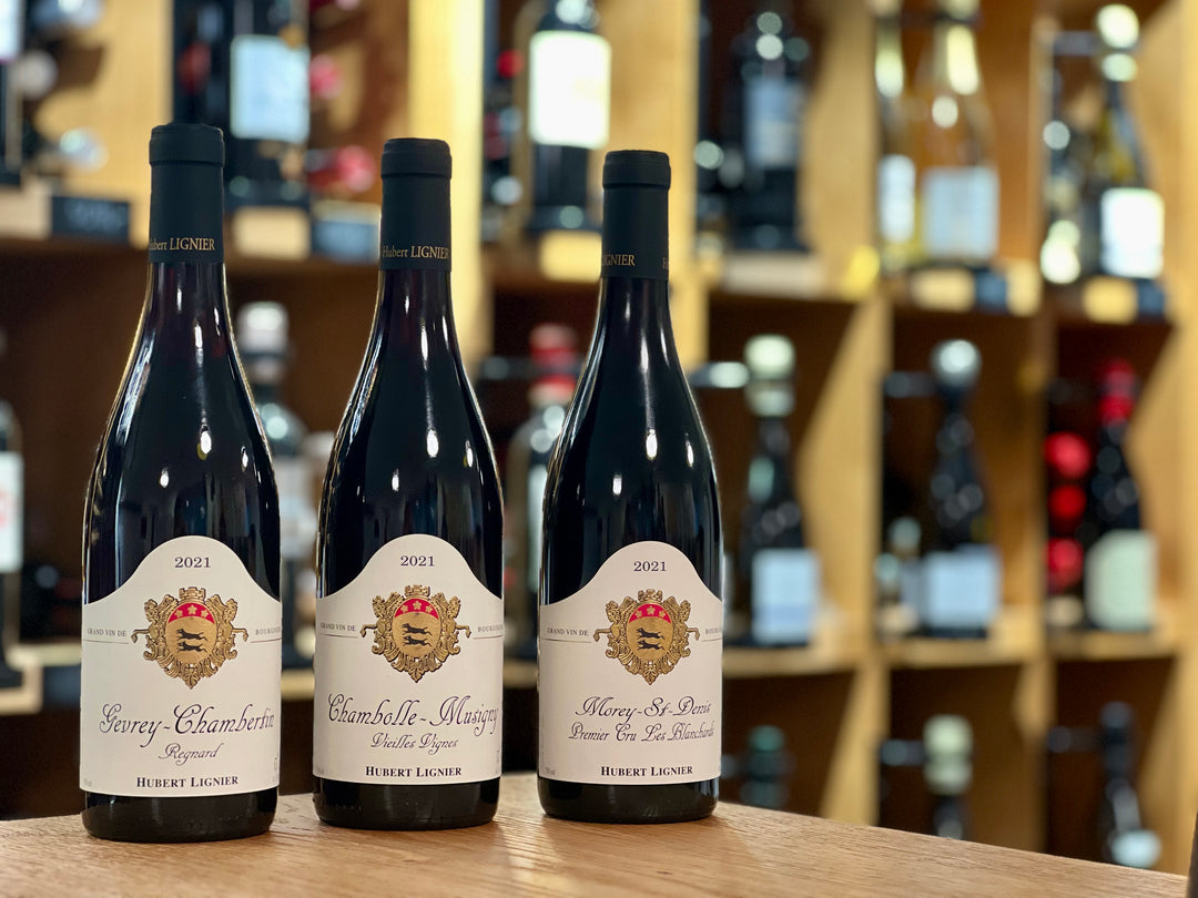 Novinky z Burgundska: Nová vína na našem e-shopu