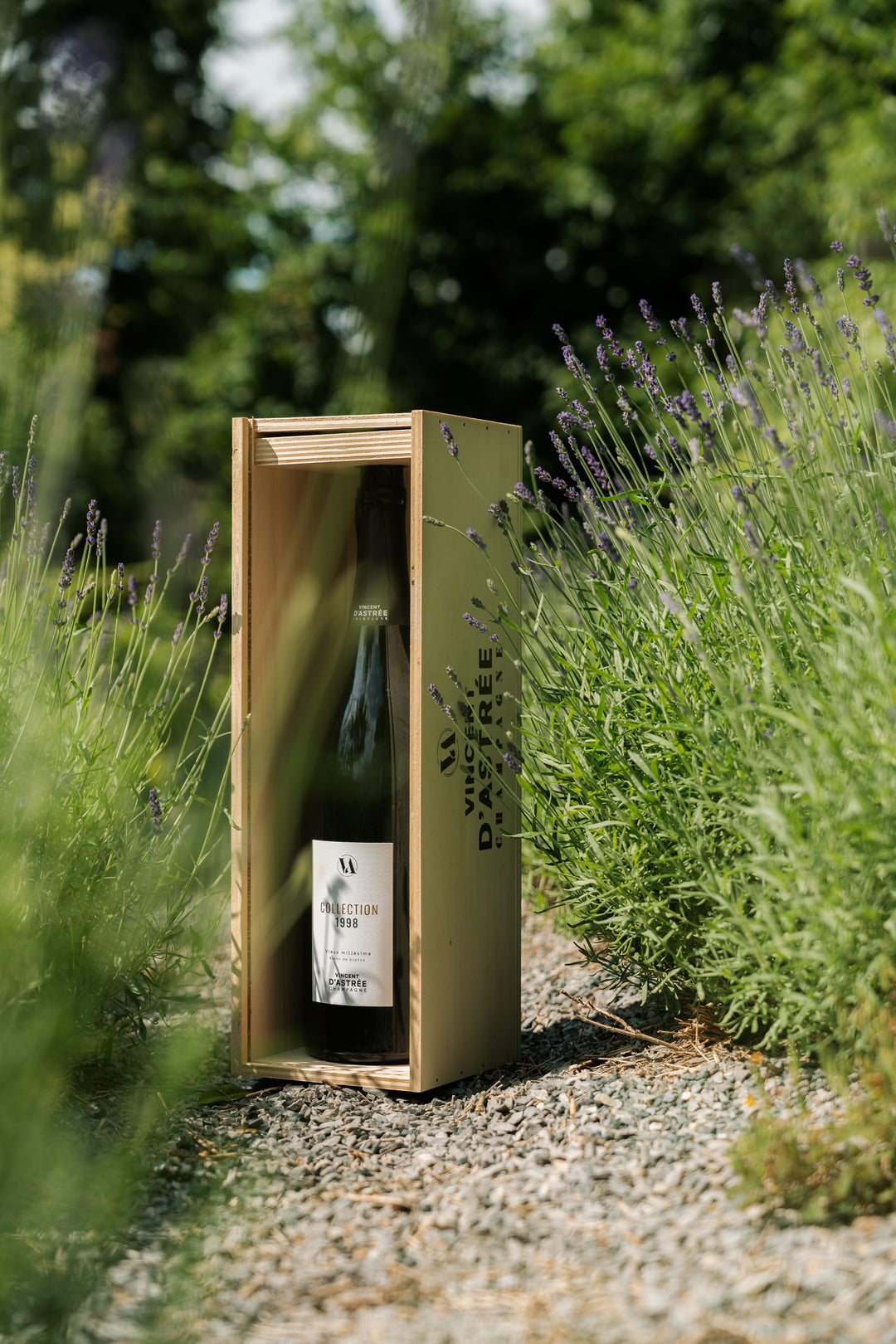 CHAMPAGNE BLANC DE BLANC 1998 PREMIER CRU DMG, 3.0 l